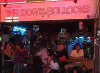 Dog's Bollocks
