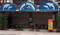 Flying Dolphins frontage