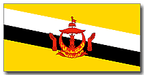 Brunei flag