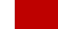 Dubai flag