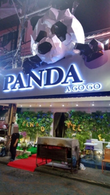 panda