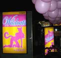 wildcats