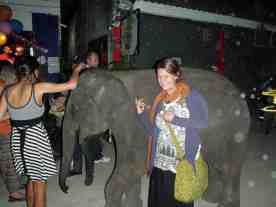 elephant at bar