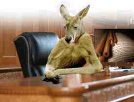 kangaroo court