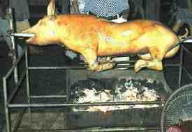 roast pig