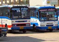 buses