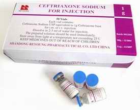 antibiotic