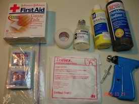Home chip implantation kit