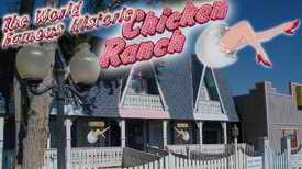 Chicken Ranch brothel advert