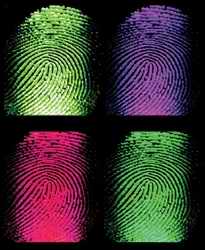 Fingerprints