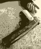 Gun Crime