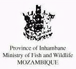 Moazambique arms
