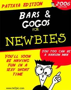 Bars & Gogos for Newbies book cover