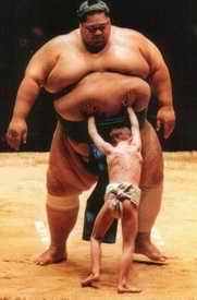 Kid pushing sumo wrestler's tummy