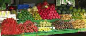 fruit