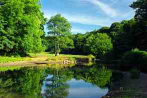 river darwen