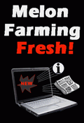 Melon farming Fresh
